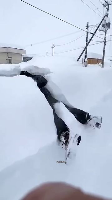 Never do these mistake in snow area #shortsvideo