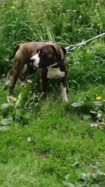 1000005037.mp4