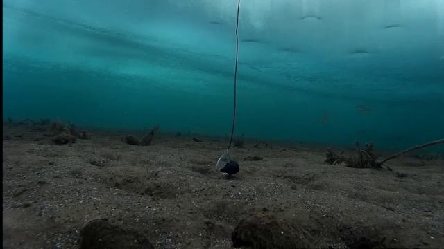 Рыбалка Братское водохранилище Молька подледная съемка ловли рыбы 19.02.16- ч.2