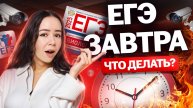 ЗАВТРА ЕГЭ по биологии 2025: что делать? | Биология ЕГЭ | Умскул