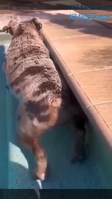 Сам себе джакузи🫧😂