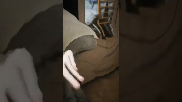 Нас съел злой шкаф пожиратель !!!