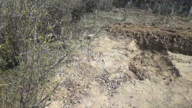 Подготовка огорода завершается остаётся лишь посадка