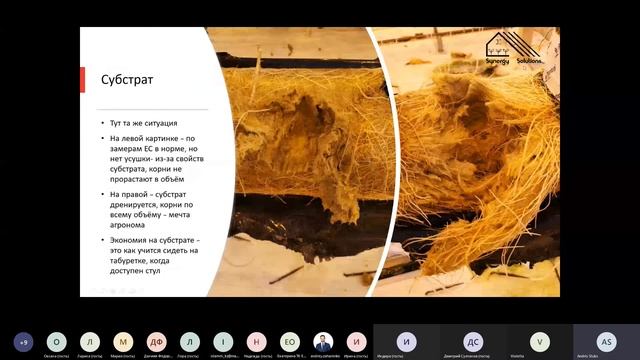 Выращивание огурца на 100% светодиодах