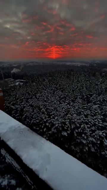 Вид