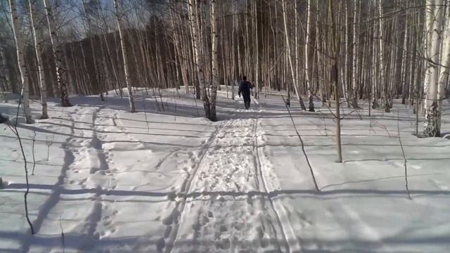 Крылья дракона №2