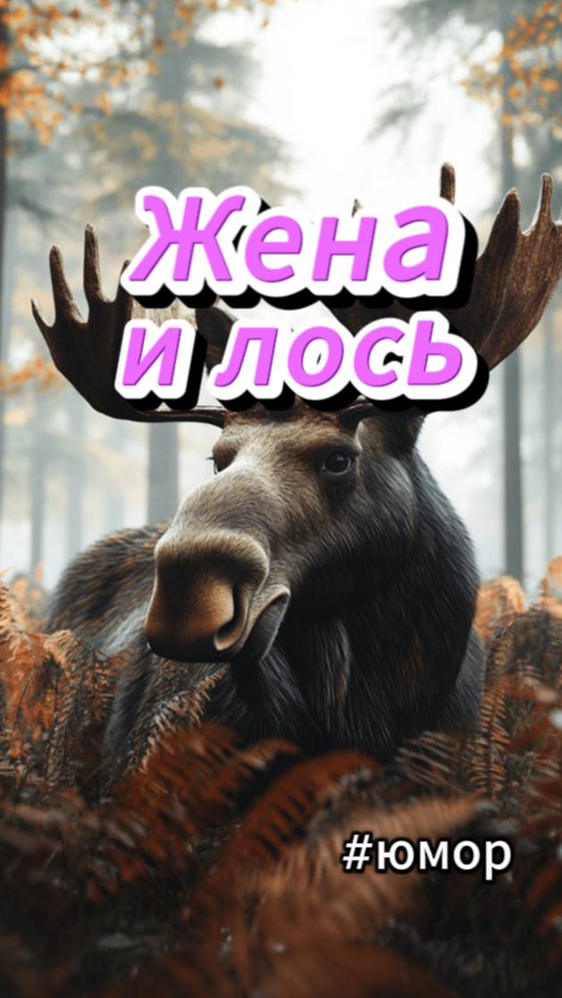#юмор Жена на охоте