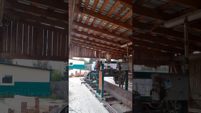 сколько можно заработать на пилораме часть 1
