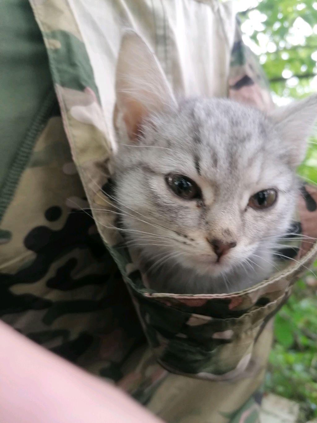 Готовлюсь к турниру