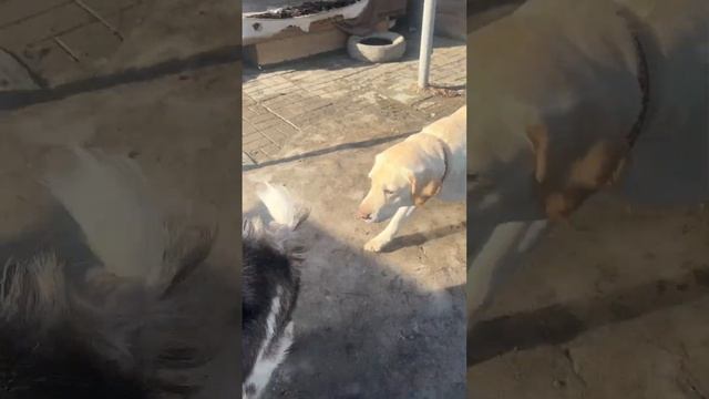 Соня и Лора 🤗