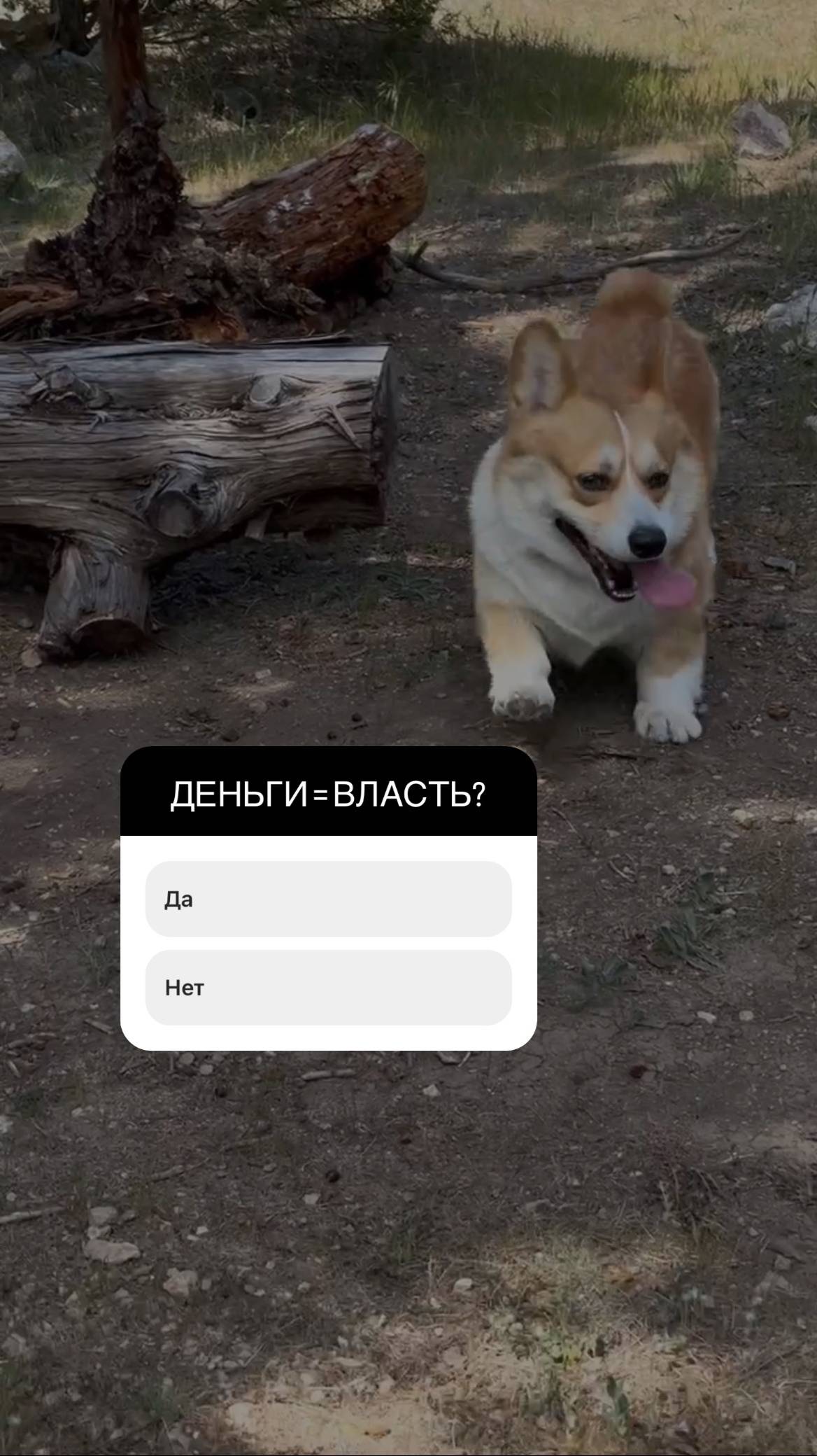 Деньги=Власть