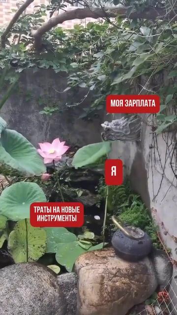 Покупка нового инструмента - это не траты, а инвестици?