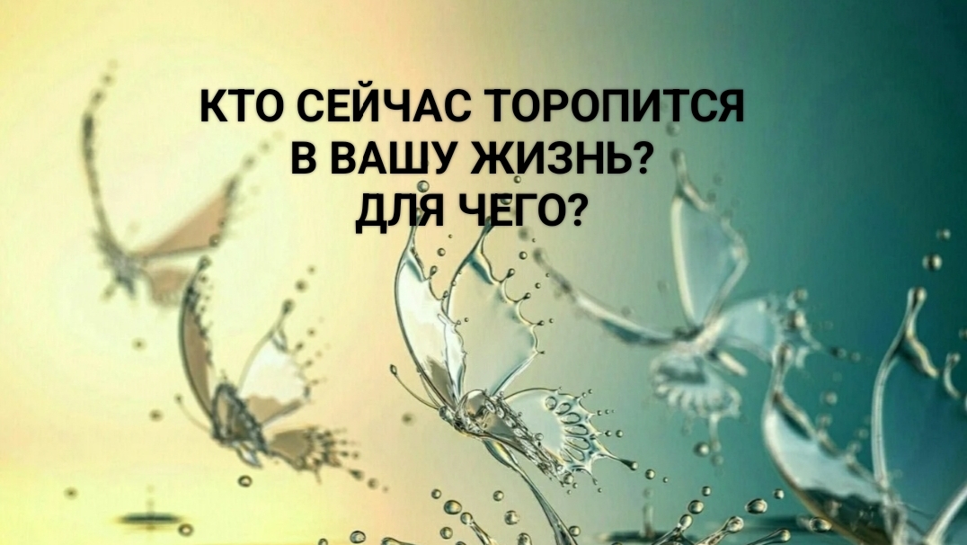 Кто сейчас торопится в Вашу жизнь? для чего?