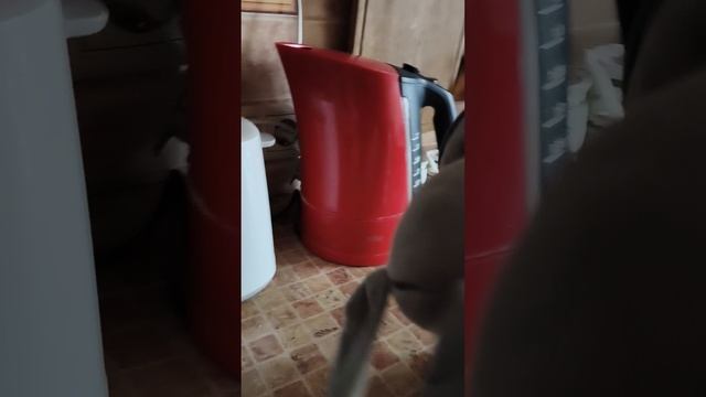 как Боря дурачится часть 23