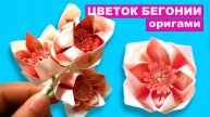 Простой оригами Цветок Бегонии из бумаги. Оригами Цветы из бумаги. Бумажные цветы поделки DIY