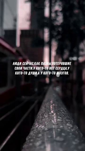 #862 Цитата дня. Мотивация.