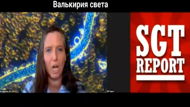 VID_20250213_091053_590.mp4