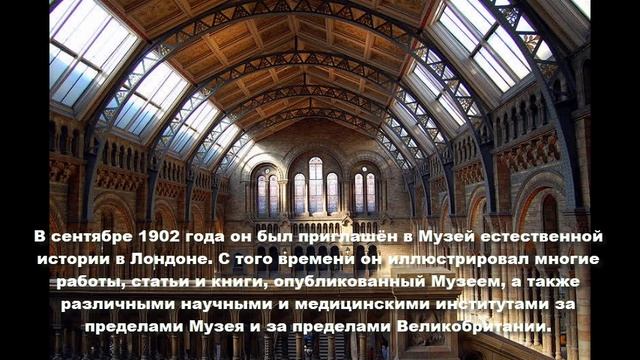 Амедео Терци