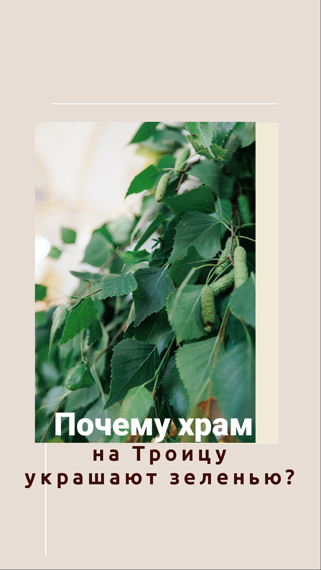 Почему храм на Троицу украшают зеленью?
