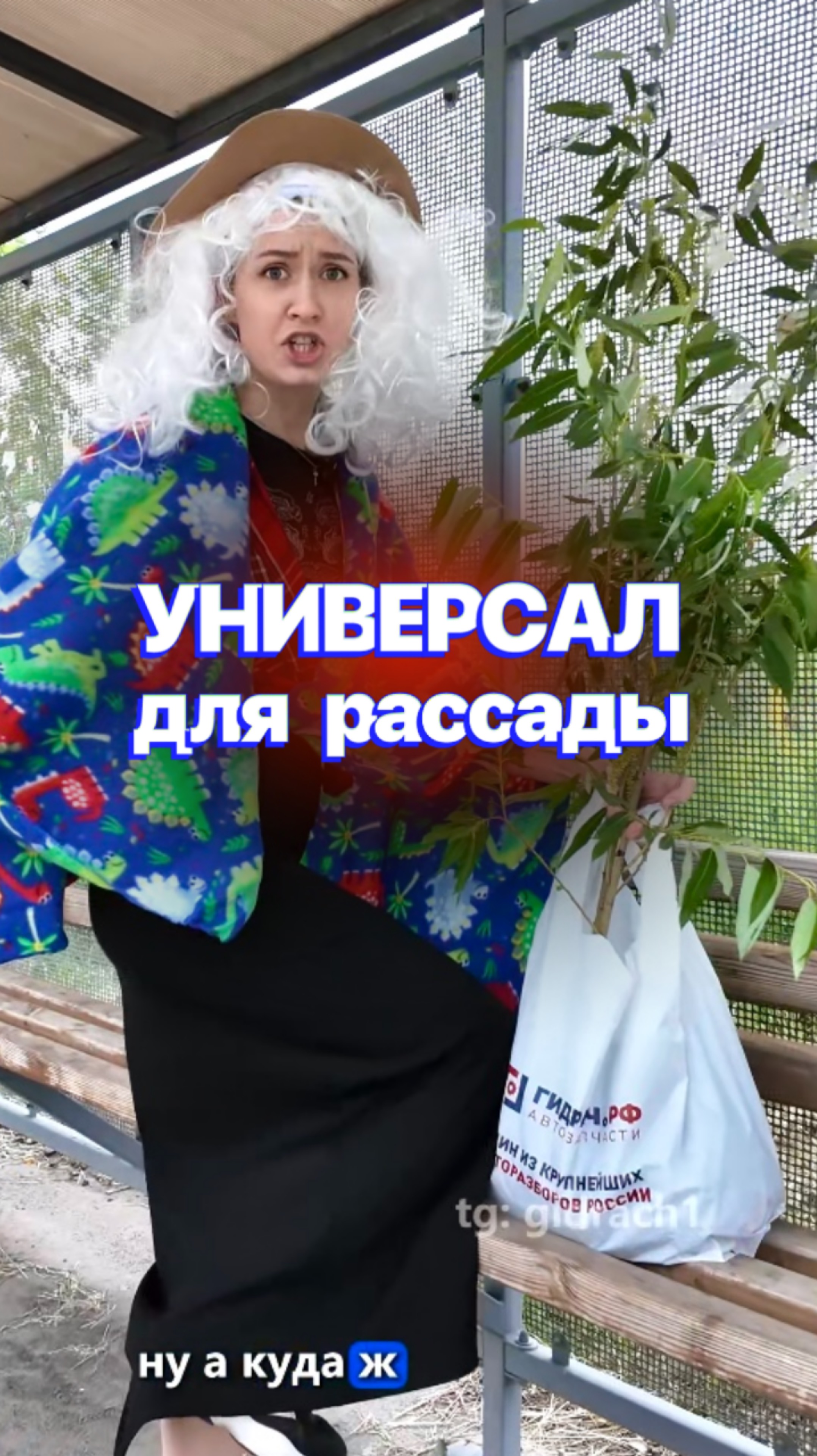 УНИВЕРСАЛ для РАССАДЫ 😅