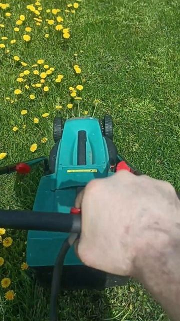 одуванчики и BOSCH Rotak 32
