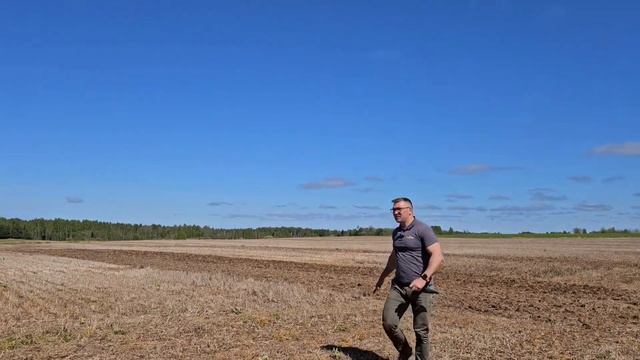 Прямoй посев яровых бобов ( Vicia Faba) в Литве. #claydon #agriculture #