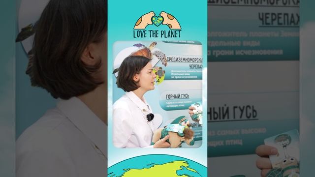 В чем смысл?