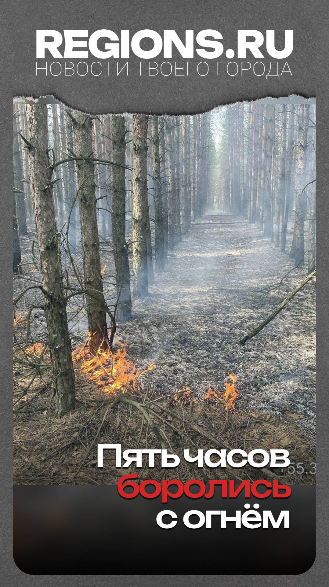 Пять часов боролись с огнём