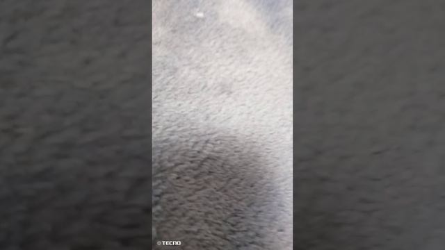 1000012013.mp4