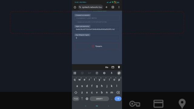Вывод денег Syntech Network