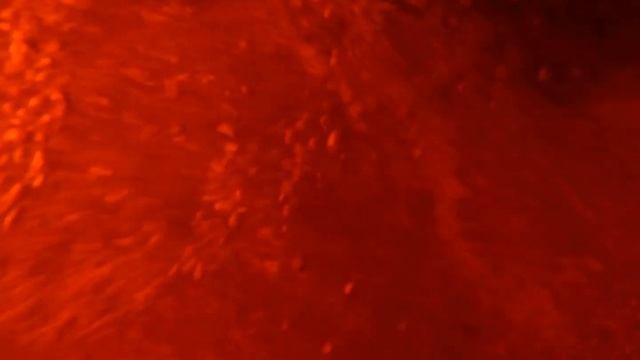 Тосненские водопады изнутри