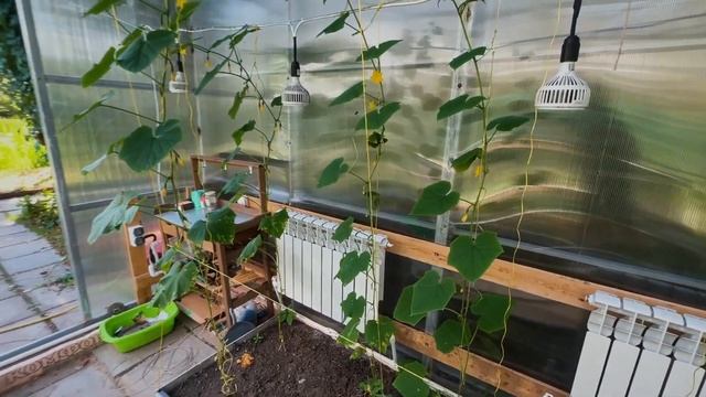 Деревенские будни. Сентябрь.