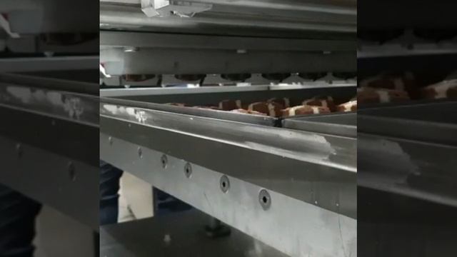 Печенье "Шахматка" на опции струнная резка тестоотсадочной машины от компании DitoGroup