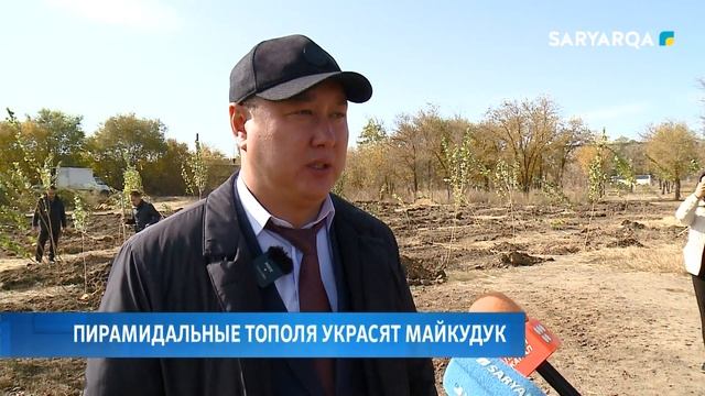 Пирамидальные тополя украсят Майкудук