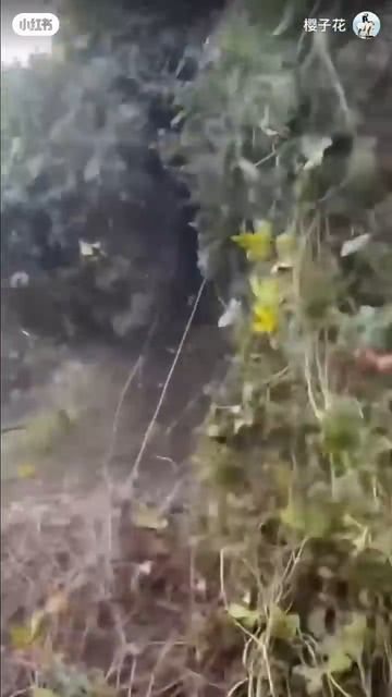 подпишись и поставь лайк💖