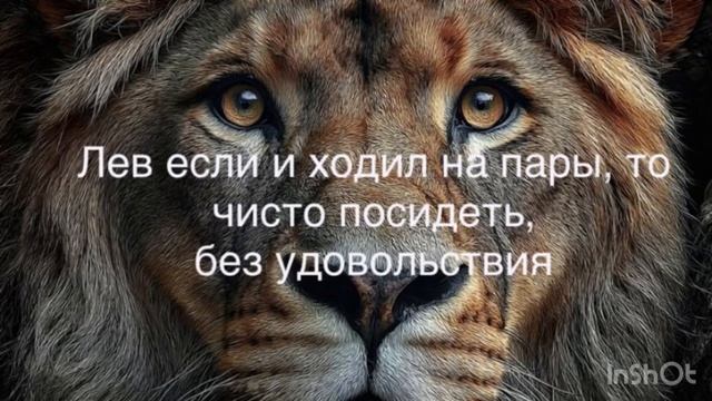 Лев, который если и делал, то без удовольствия