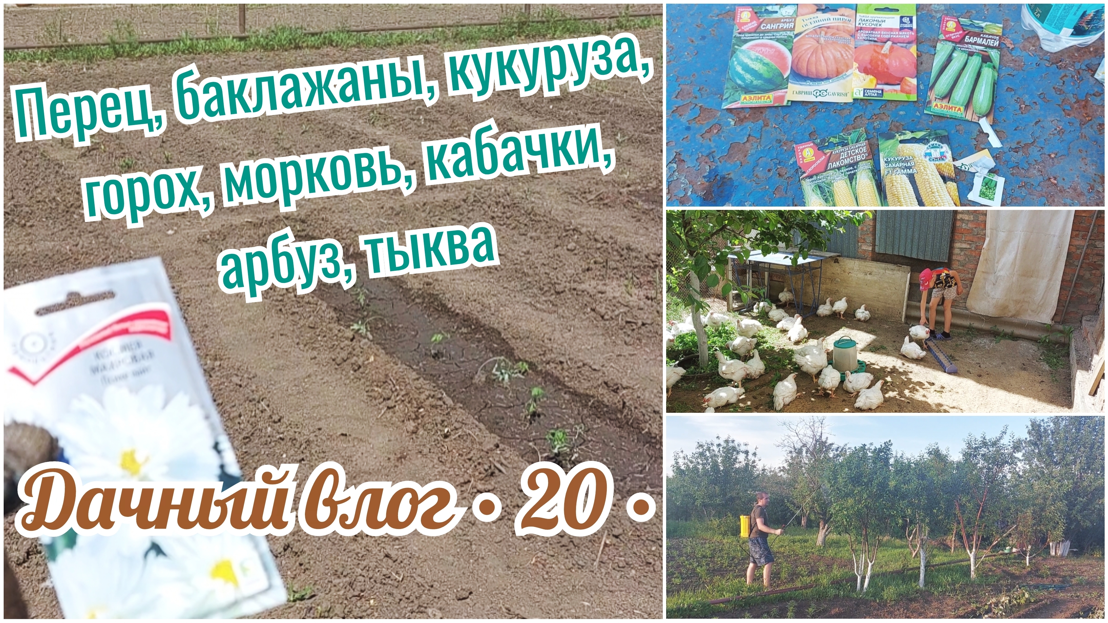 НОВЫЙ ОПРЫСКИВАТЕЛЬ 🔥 ПОСАДИЛА КУКУРУЗУ И ГОРЬКИЙ ПЕРЕЦ // ПЕРЕПУТАЛА ТАБЛИЧКИ 🙈