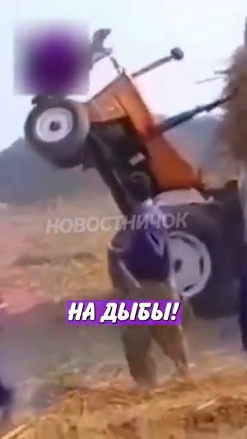 Новостничок (378)