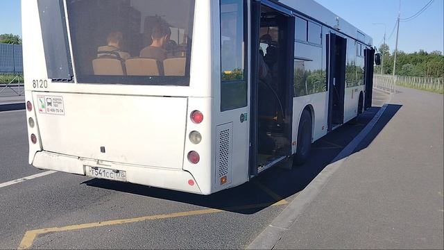 1 июня 2025 г. Автобус 328 маршрут МАЗ-203 8120 Колпино Октябрьская Улица
