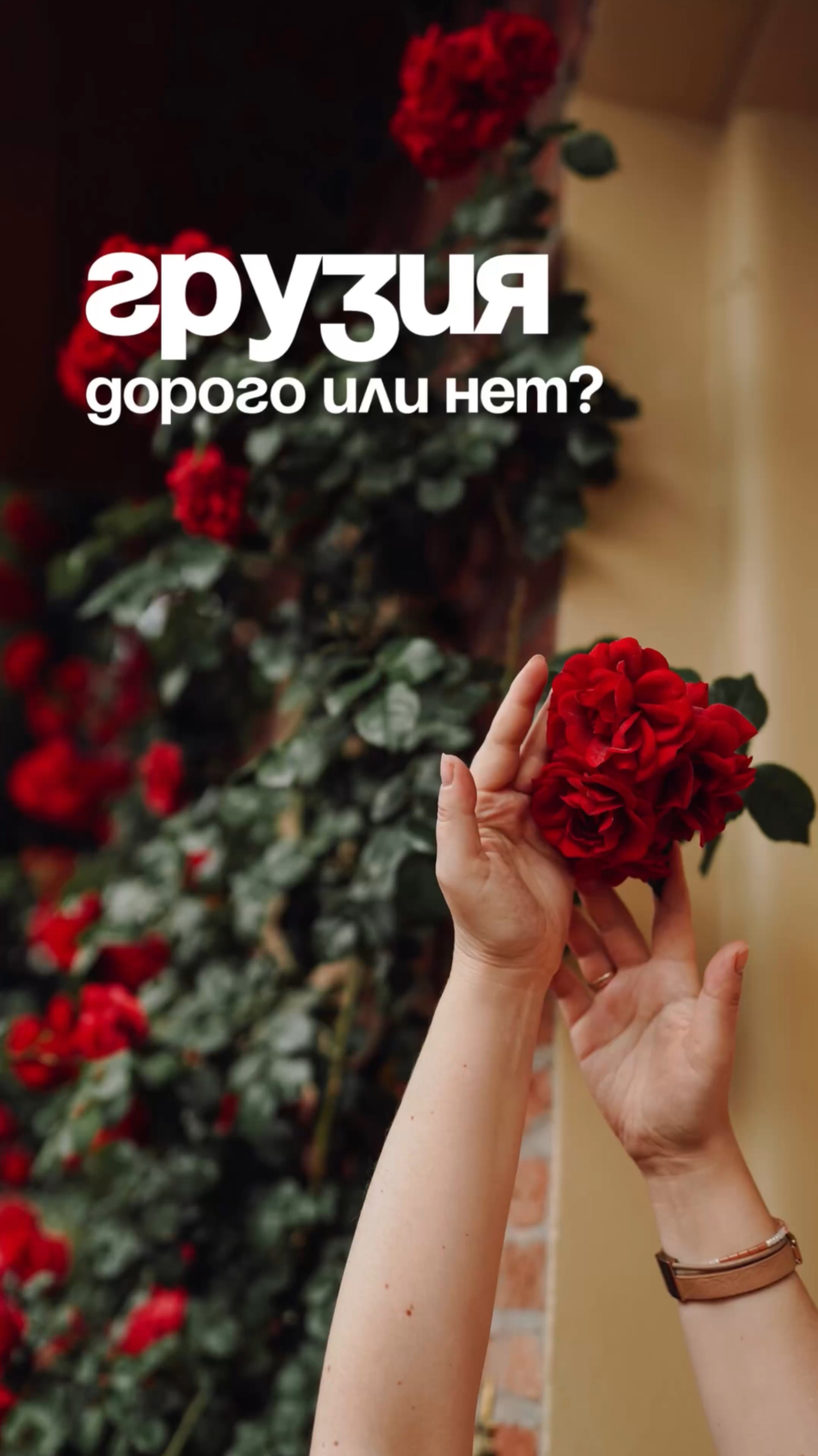 Как считаете, дорого или нет получилось для Грузии?