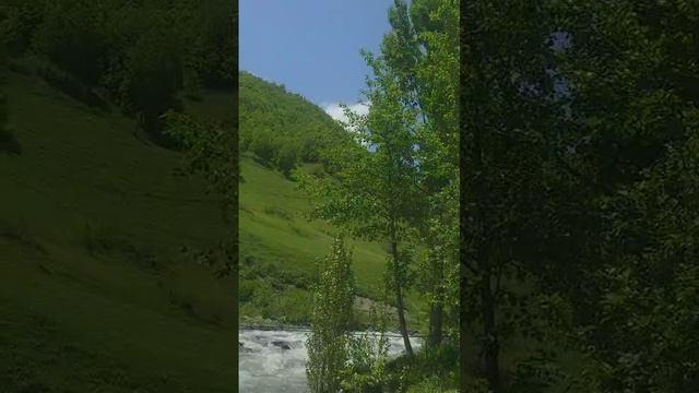 1000255465.mp4