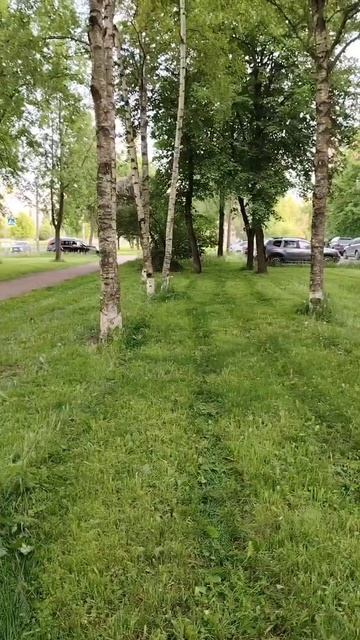 Джек на прогулке