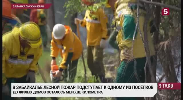 Пятый канал_В Забайкальском крае лесной пожар сегодня подошел к одному из больших поселков