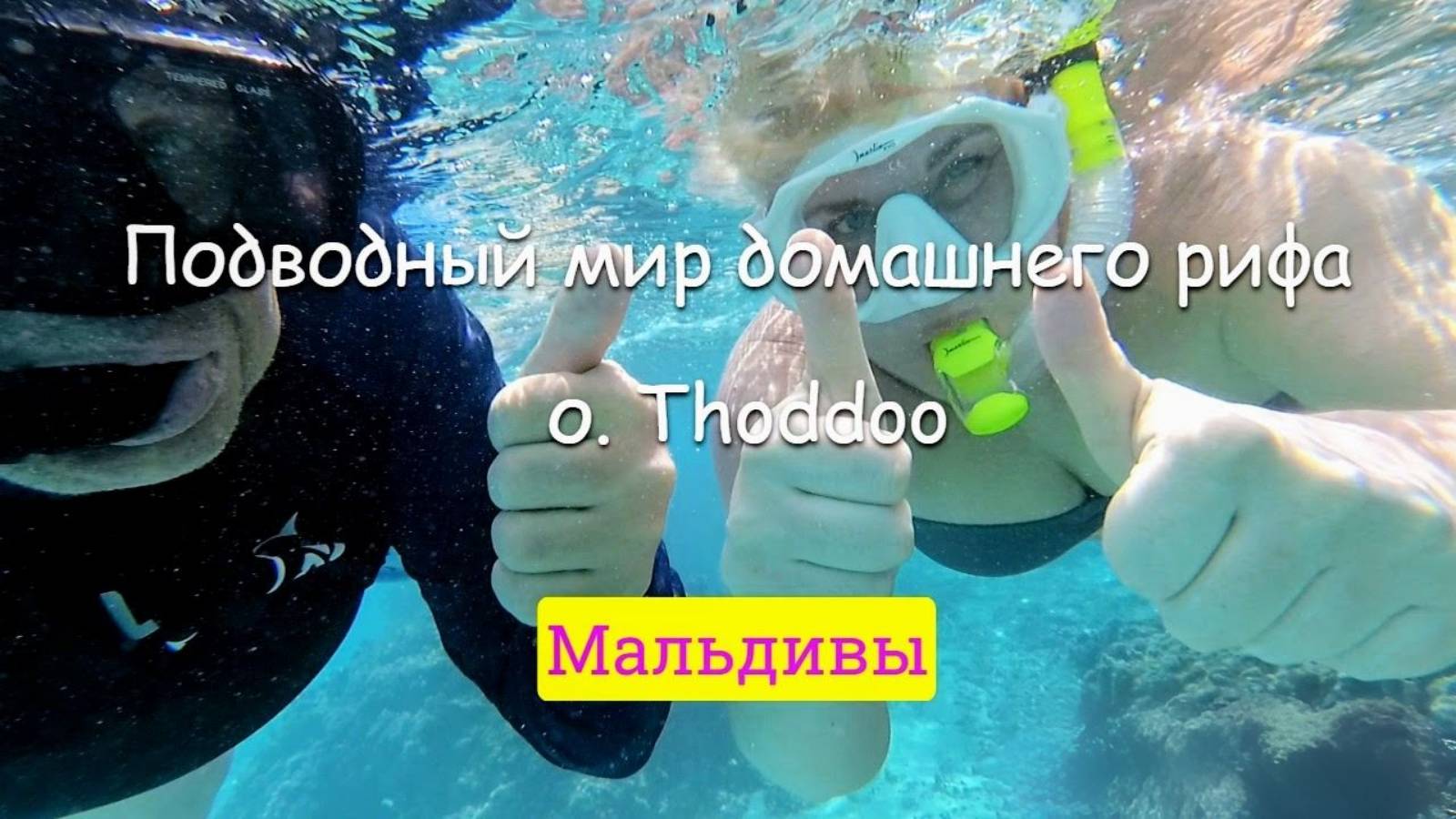 Домашний риф острова Тодду. Черепахи и рыбки.