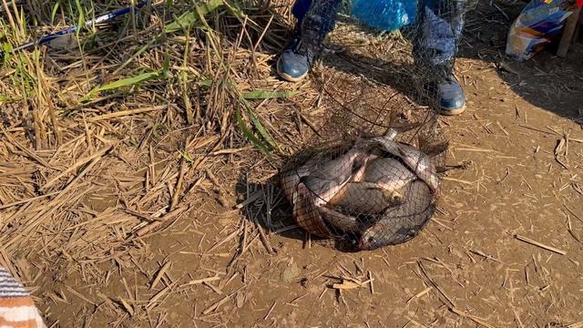 4.06.2025. р. Тосно. Кайфуем в своё удовольствие.