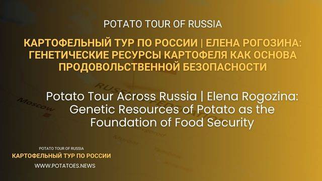 Картофельный тур по России  Елена Рогозина: генетические ресурсы картофеля