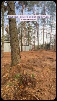 Ваш дом, ваши правила. Моё – безупречное исполнение.