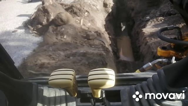 MovaviClips_Video_20250603-003302.mp4