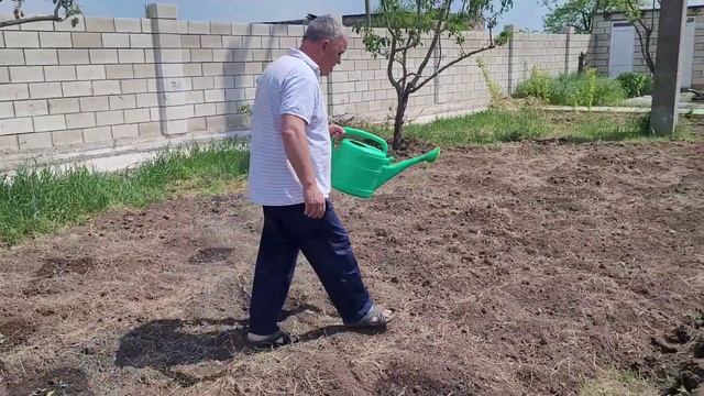 Приднестровье.Подготовка вад и посадка рассады.