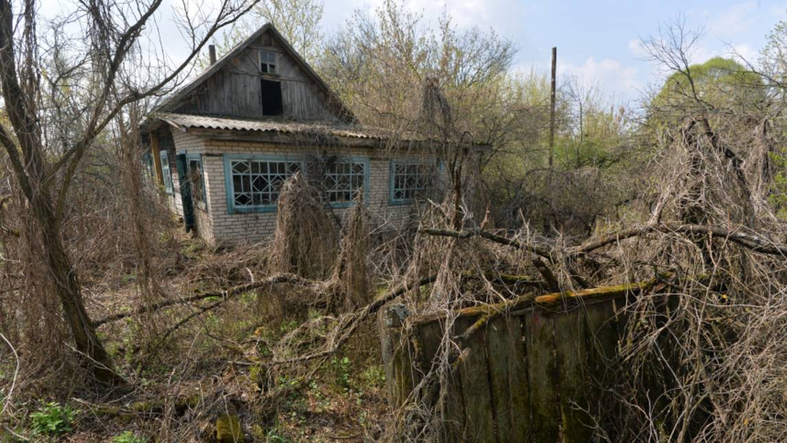 Долой пустыри и свалки: проблема заброшенных дачных участков будет решена